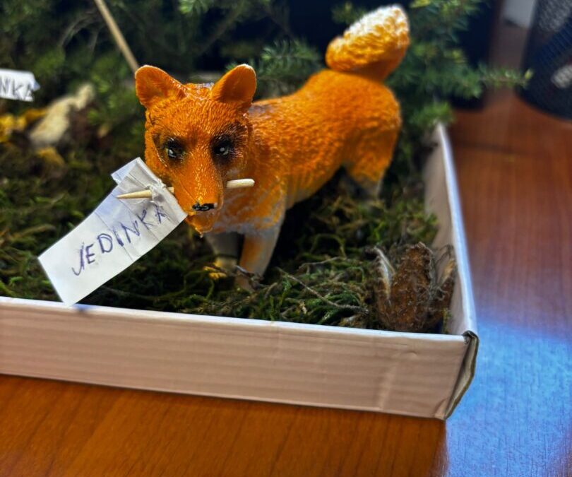 Kreativni prikazi ekosustava u našoj okolini